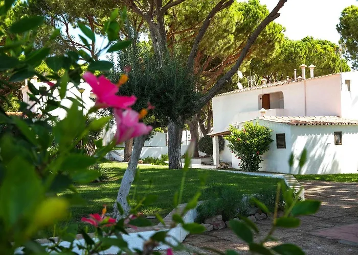 Acoteias 203 Lejlighed