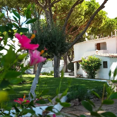 Acoteias 203 Appartement