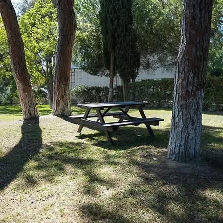 Appartement Acoteias 203