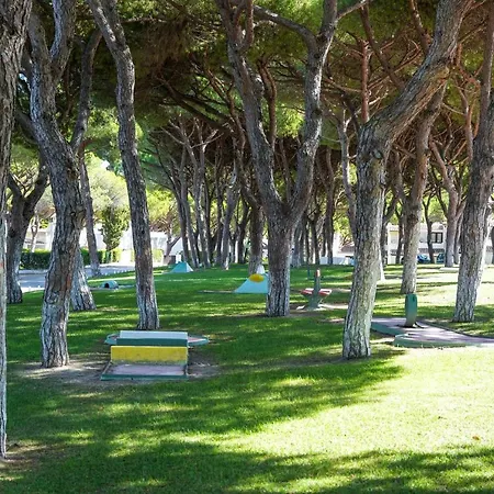Acoteias 203 *